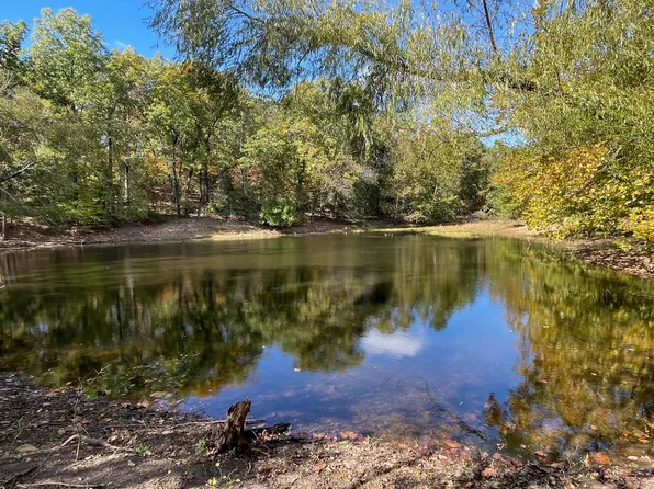 632 Elizabeth Road, Walnut Shade, MO 65771