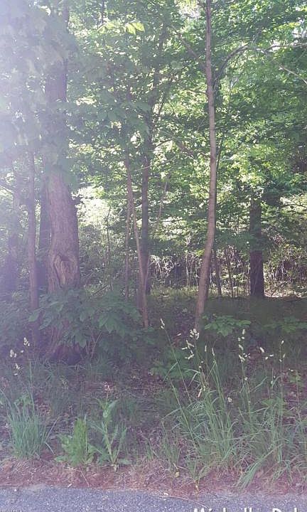 2nd image of 2735 Fifteen Mile Rd NE
