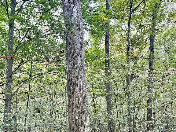 5th image of Tate Creek Rd