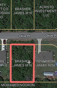 0 Olive Pl #19, Ocala, FL, 34472