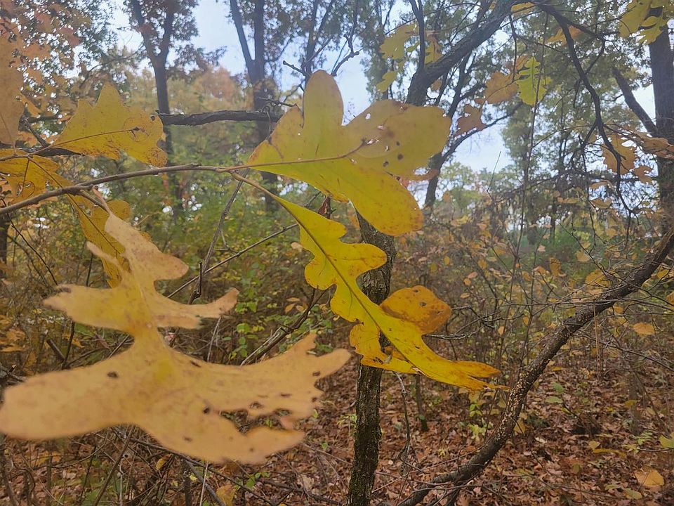 Lot 17 10th Lane LOT 17, Grand Marsh, WI 53936 MLS 1966581 Zillow