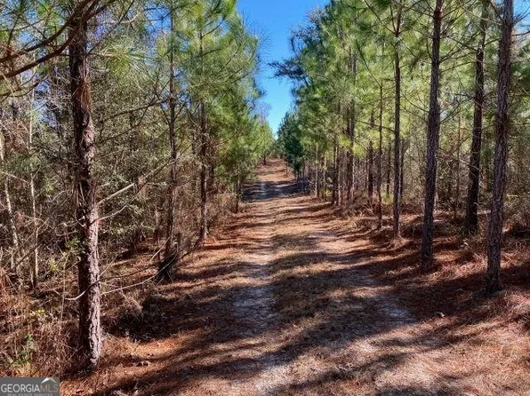 0 Melton Chapel Church Rd, Baxley, GA 31513