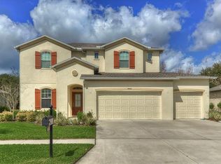 4446 Wildstar Cir, Wesley Chapel, FL 33544