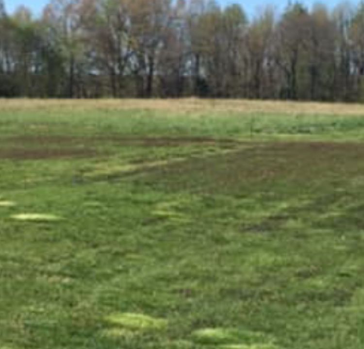 5.2 acres