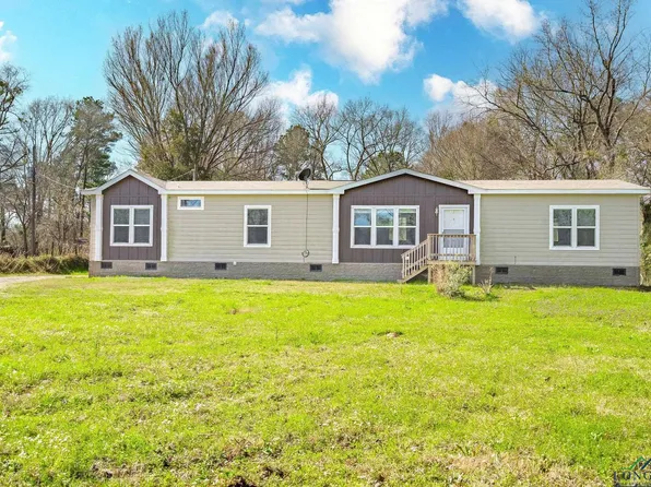 5917 Fm 2254, Pittsburg, TX 75686