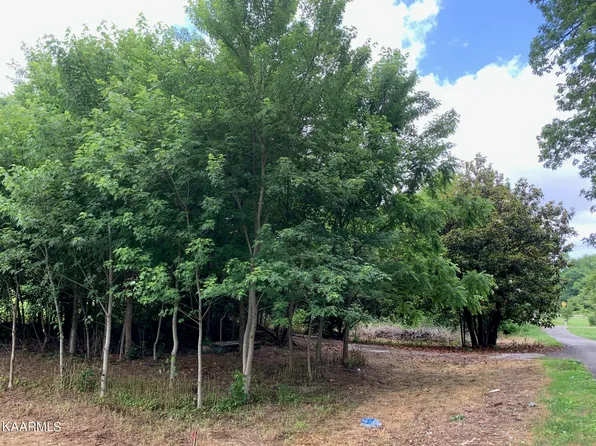 132 Dunaway Rd, New Tazewell, TN 37825