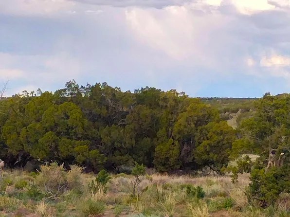 Lots 61 62 Elk Valley Ranch St, Saint Johns, AZ 85936