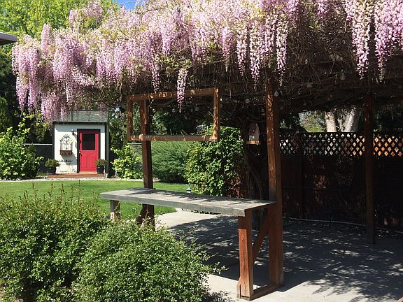 Upper Level of Backyard
