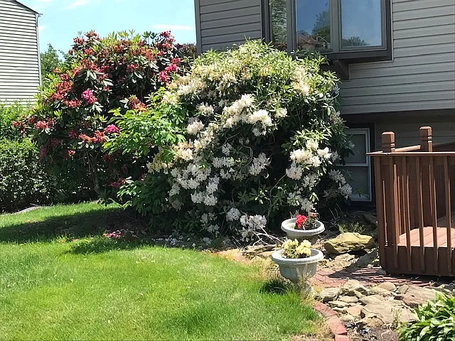 99 Sunridge Dr photo 1