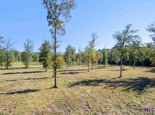 Tbd Mill Creek Ln, Slaughter, LA 70777