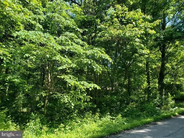 Blacks Mountain Rd, Waterfall, PA 16689