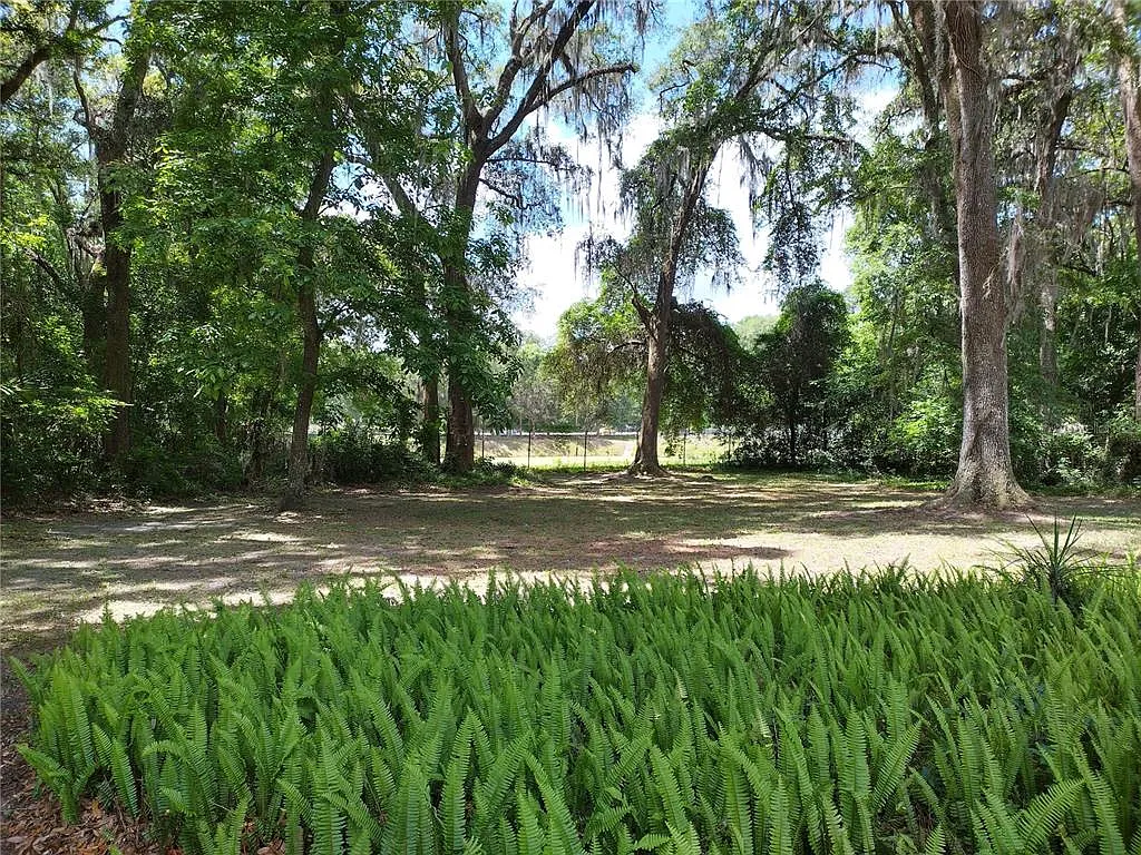 1 bed, 1.0 bath, 250 sqft, $900 — Photo 2