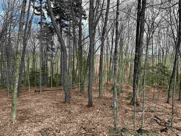 2 Johnson Hill, Dover, VT 05356