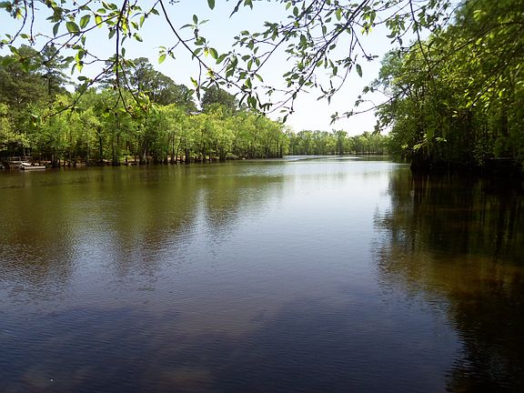 5th image of 1270 County Road 3509