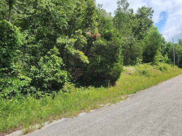 (undisclosed Address), Cherokee Village, AR 72529