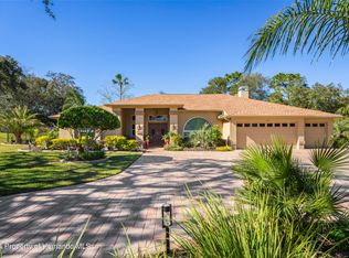 247 Oriana Dr, Spring Hill, FL 34609