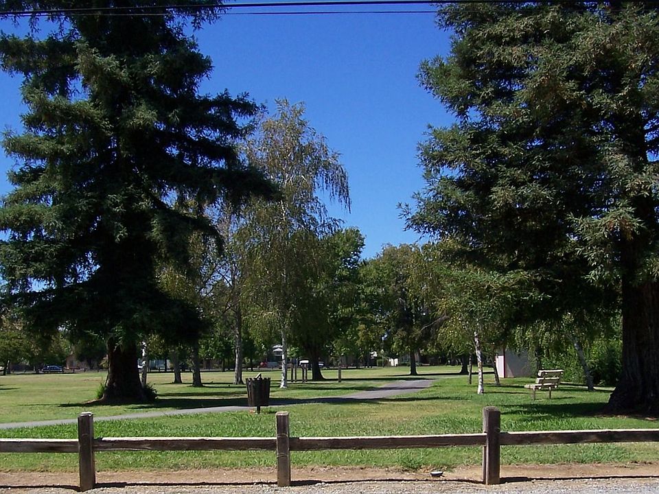 View of Park