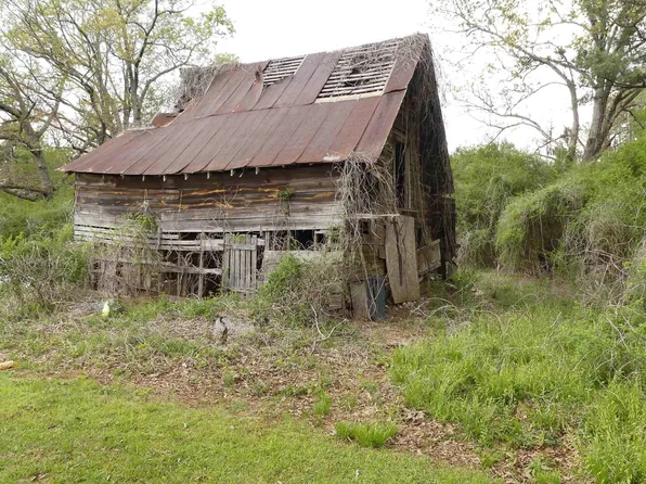 2299 County Road 24 #0, Wadley, AL 36276
