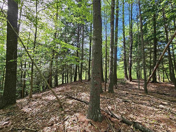 2nd image of Lot 26 Province Road