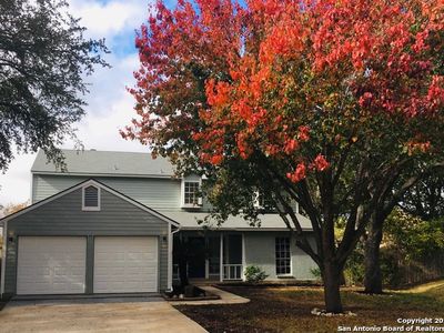16223 Pinetree Blf, San Antonio, TX, 78247