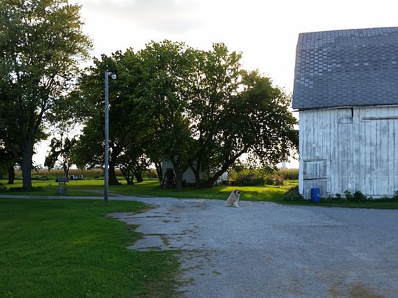 Driveway & Digger the dog...