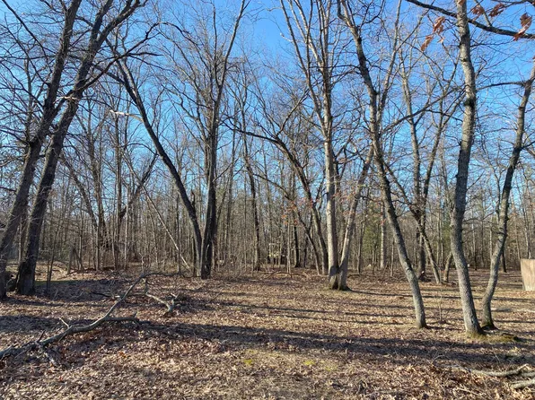 6795 Louise Dr, Indian River, MI 49749