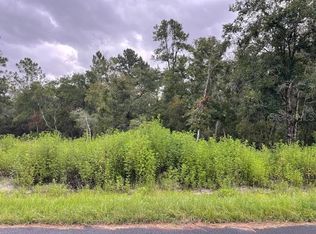 3 Locust Radl LOT 3, Ocala, FL 34472