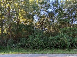 3248 E Scofield St, Inverness, FL 34453