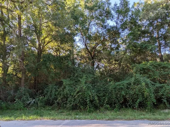 3248 E Scofield St, Inverness, FL 34453