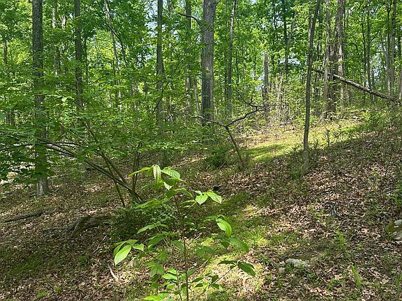 3rd image of 0 Whispering Acres Ln