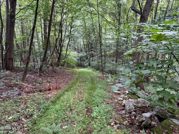LOT 1B Louks Ln, Bedford, PA 15522