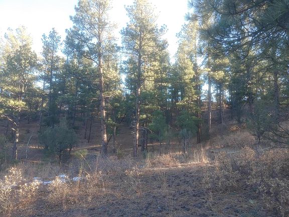 2nd image of 30910 Pavo Canyon Trl