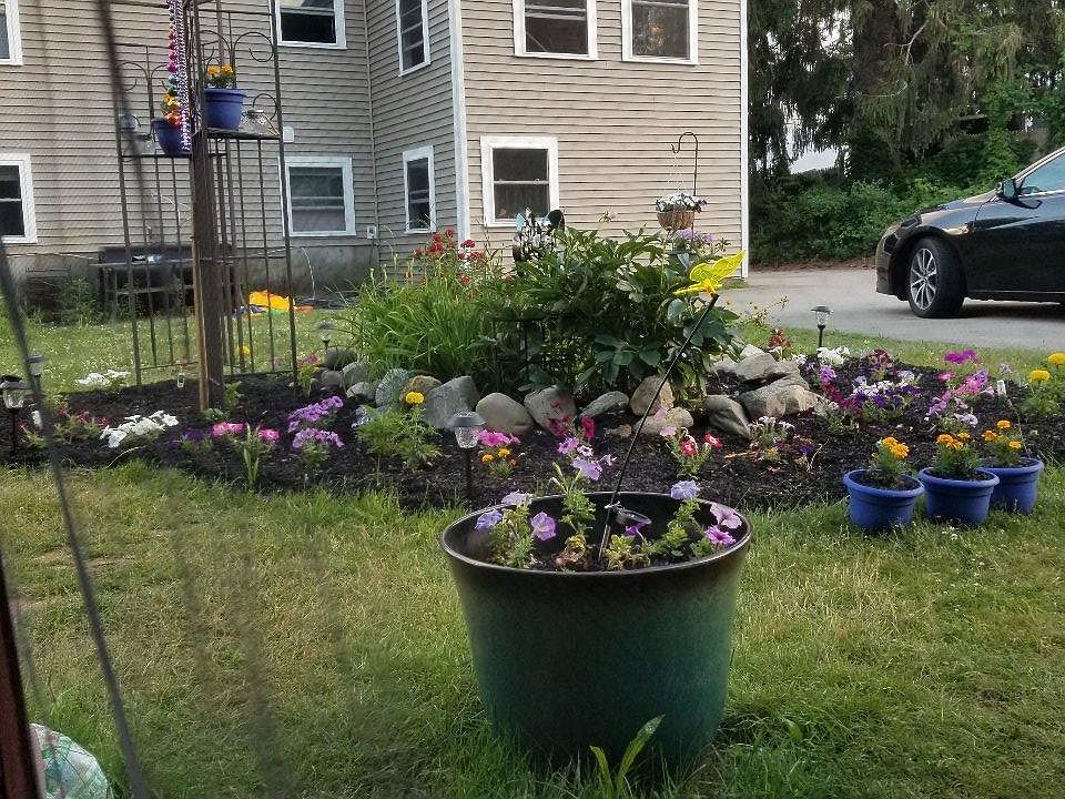 Yard