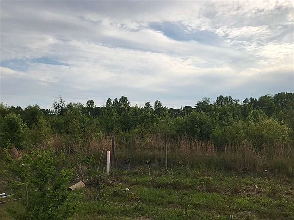2nd image of 0 Highway 5 Tract #C