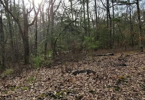 2nd image of 6020 Catchpenny Rd