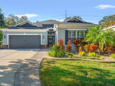 17437 New Cross Cir, Lithia, FL, 33547