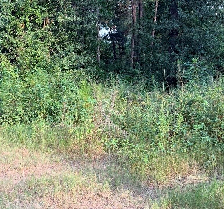 2nd image of 0 Lyric Rd Lot 78C
