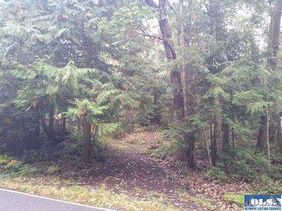 Nna Blue Grouse Run, Sequim, WA, 98382