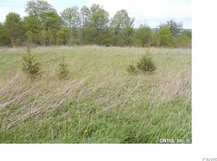 985 Wolf Rd LOT 8, Cortland, NY 13045