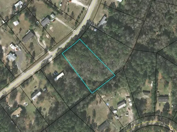 2223 Cosmos Ave, Middleburg, FL 32068