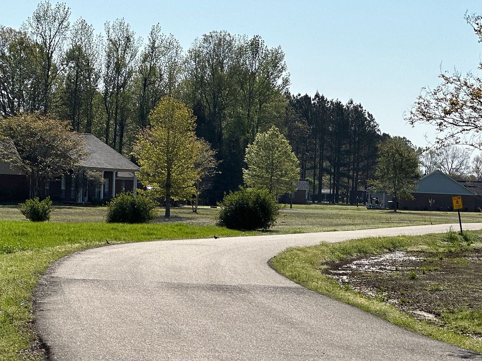 2nd image of 161 Old Trace Dr