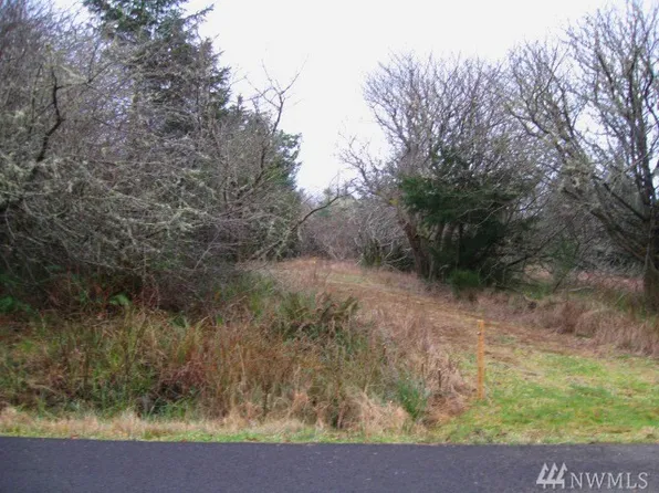 899 Falls Of Clyde Loop SE, Ocean Shores, WA 98569