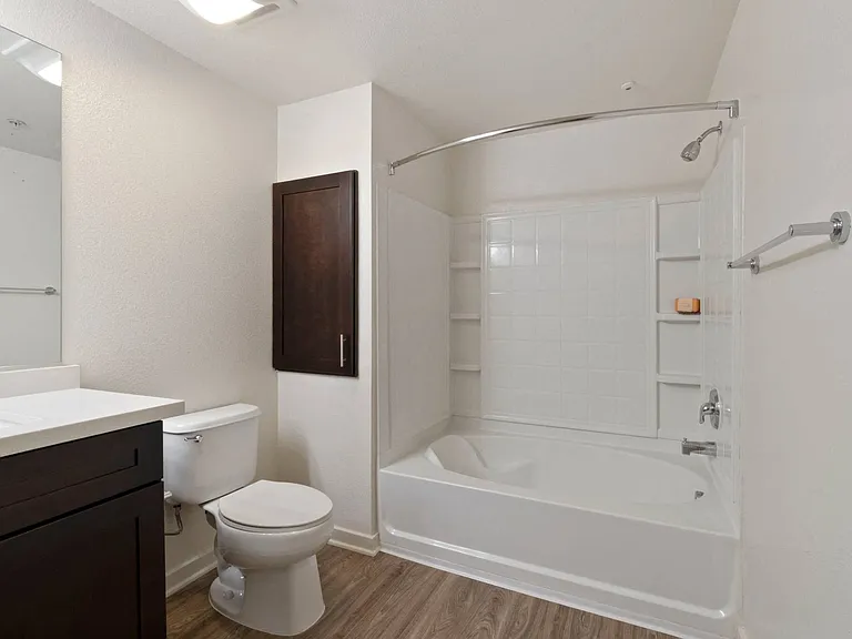 Spa inspired bathrooms with large tubs