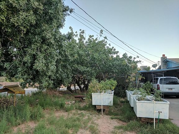 Left ; Grow-boxes, Pistachio trees