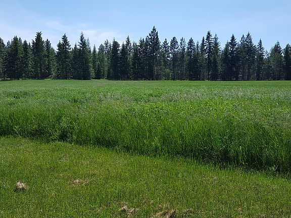 Acreage planted in alfalfa 