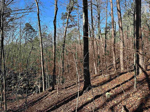 5th image of 0 Bear Mountain Rd