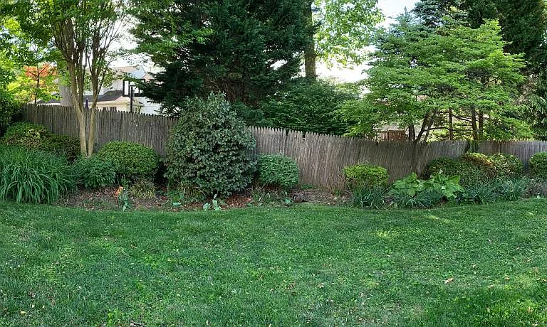 Panoramic view of backyard