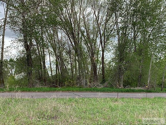 3rd image of 2907 Saddle Horn Dr