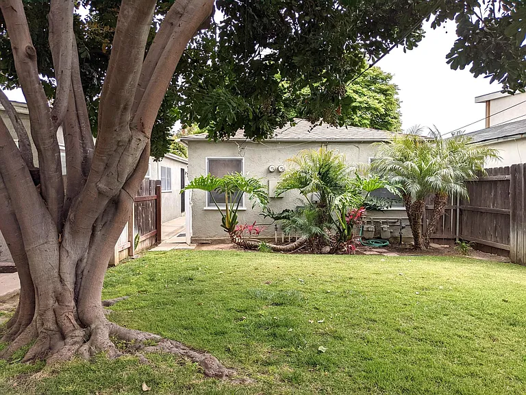 Shared Yard