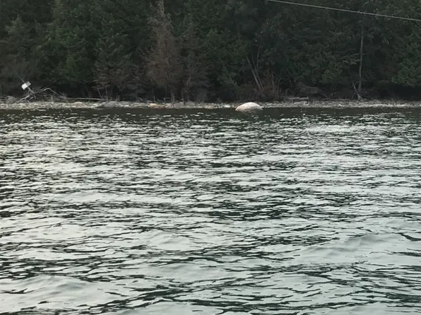 Grape Is Lot 41, Drummond Island, MI 49726